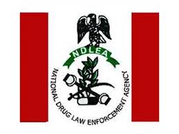 Ndlea Recruitment 2020/2021 - Application Form & Portal - Hotjobsng