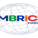 BRICS International Municipal Forum 2025