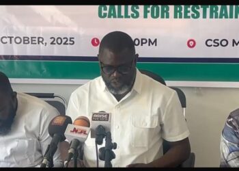 Group decries politically motivated attacks on Nnaji