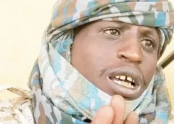 Allegations of A Terrorist: Two former governors fueling insecurity