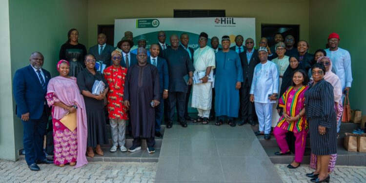 NGF, Hiil unite to advance community based justice reforms