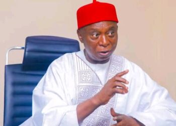 Nwoko: Redefining legislative representation in Delta-North