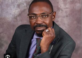 Niger South senate race: my agenda is people-centered development – Ndarani