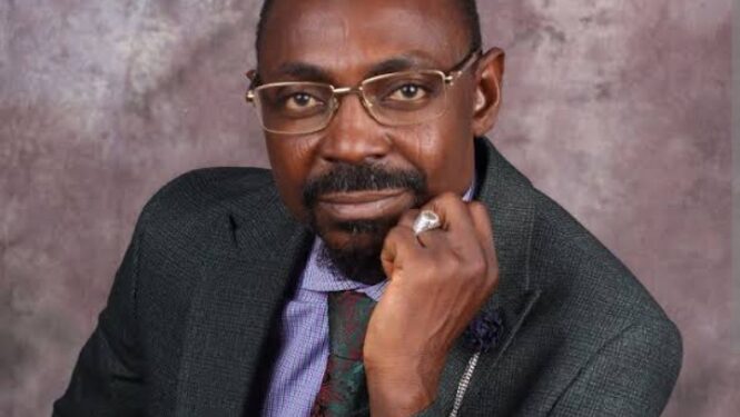 Niger South senate race: my agenda is people-centered development – Ndarani