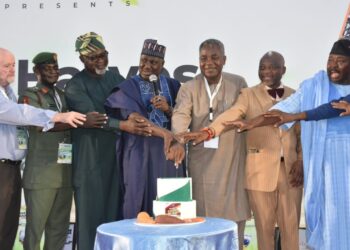 Nigeria largest global producer of root, tuber crops – FG