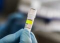 Hantavirus much less contagious than COVID-19, says Dutch doctor