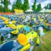 Lawmaker donates 10 buses, 150 motorcycles for Adeleke’s re-election