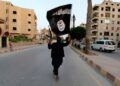 US, Nigeria military neutralise ISIS global second in command in Borno state